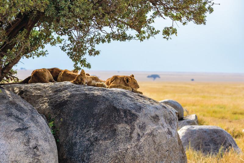 Contrasts of Africa