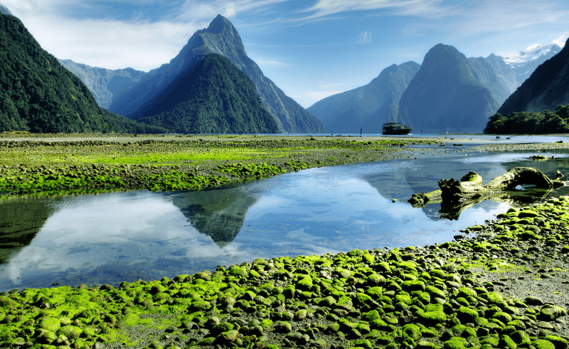 New Zealand Getaway