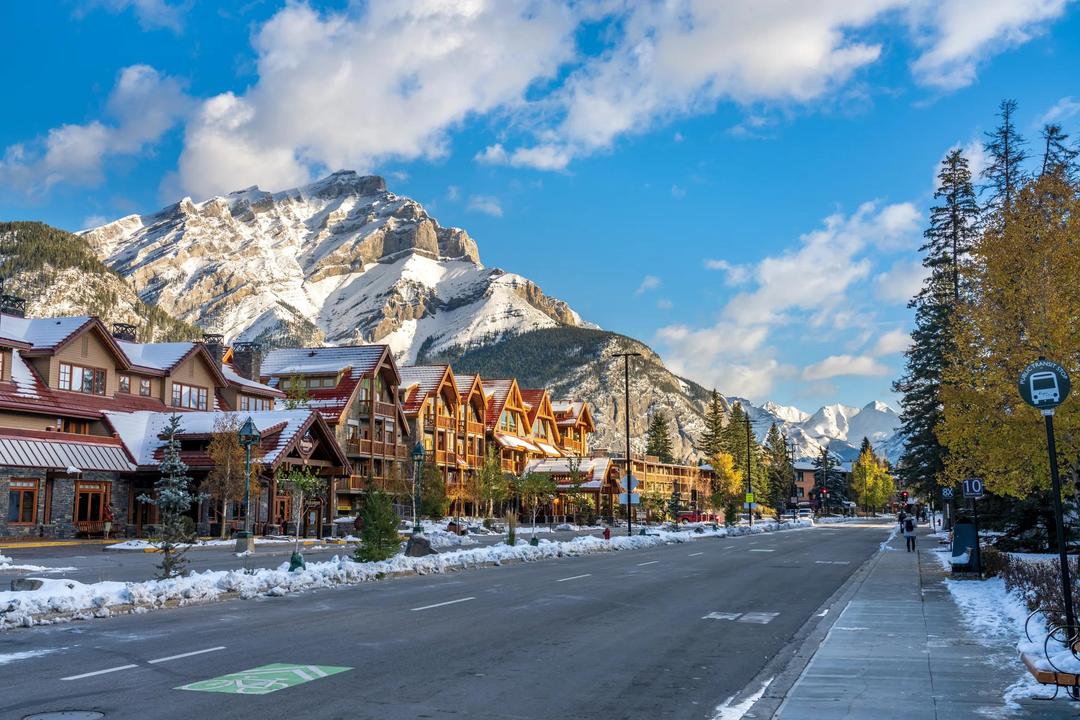Festive Winter Wonderland