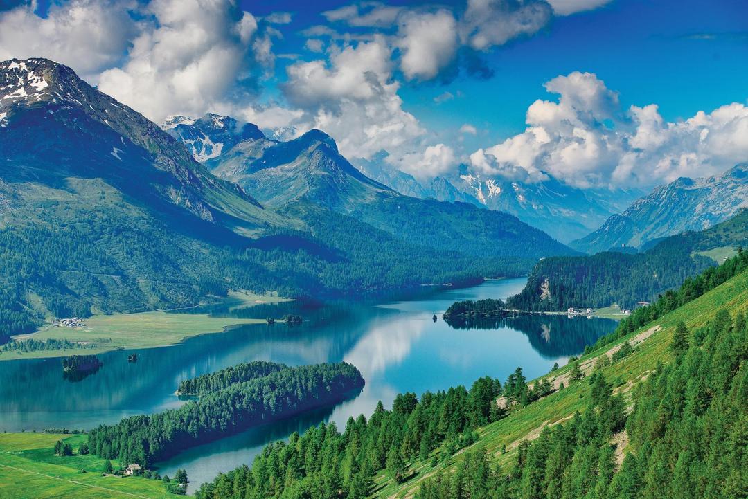 Alpine Discovery