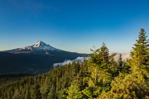 Best of the Pacific Northwest