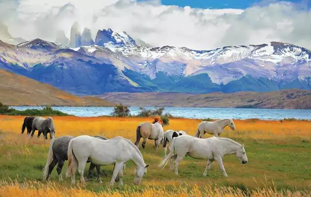 https://media.leisurecom.com/tour/tour-2025-07-17-03-22-10-1.webp