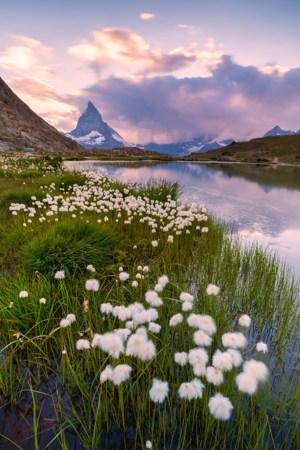 Switzerland and Austria