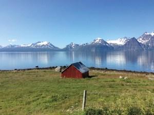 Country Roads of Scandinavia