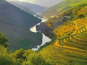 Country Roads of Portugal