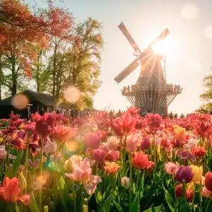 Country Roads of Belgium, Luxembourg & the Netherlands