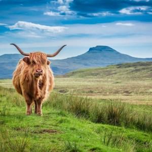 Britain and Ireland Explorer - Saver