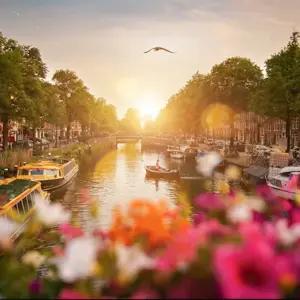 Glimpse of Europe