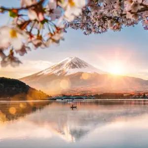 Japan Discovery