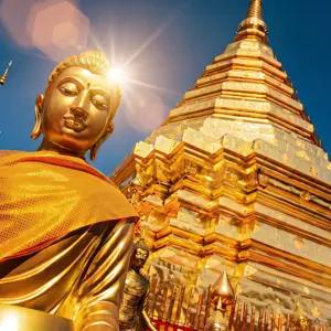 Snapshot of Thailand - Small Group