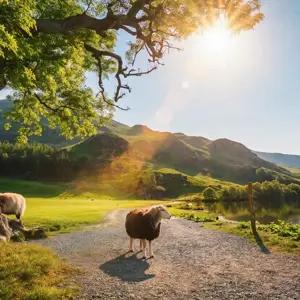 Britain & Ireland Discovery