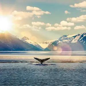 Jewels of Alaska