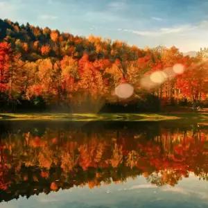 New England's Fall Foliage