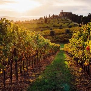Rome and Tuscan Highlights