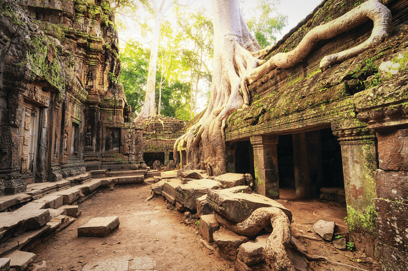 Vietnam and Cambodia Highlights