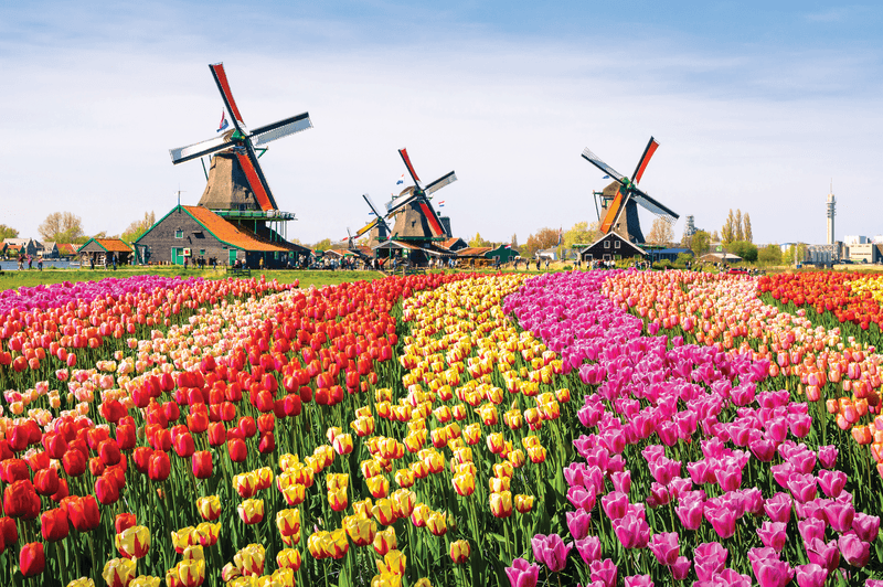 Colours of the Netherlands and Belgium