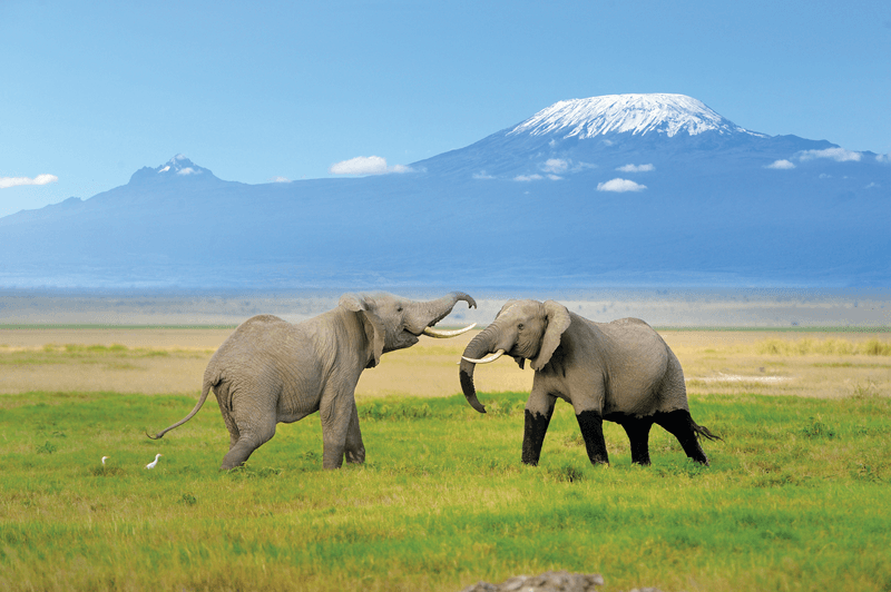 Kenya and Tanzania Adventure