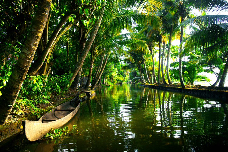 Discover Southern India and Kerala