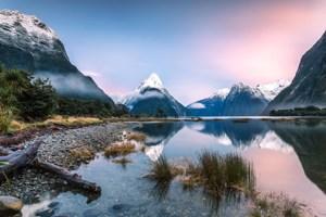 Contrasts Of New Zealand