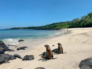 Best of Ecuador & Galapagos Islands
